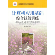 计算机应用基础综合技能训练