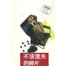 不该流失的碎片