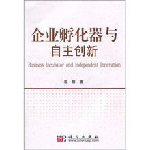 企业孵化器与自主创新