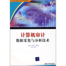 计算机审计数据采集与分析技术(附光盘)