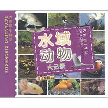 小笨熊·大眼睛小科学：水域动物大记录