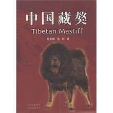 中国藏獒