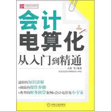 会计电算化从入门到精通