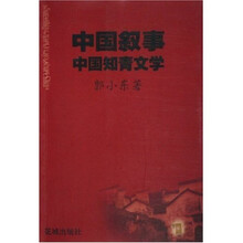 中国叙事：中国知青文学