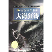 大海狂涛