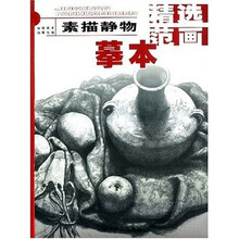 精选范画摹本：素描静物