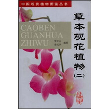 草本观花植物2