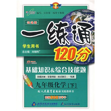 一练通120分·基础知识·综合技能题：9年级化学（上册）（学生用书·改进版）（配人教社实验教科书）