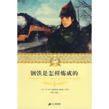 二十一世纪少年文学必读经典：钢铁是怎样炼成的