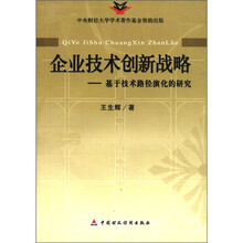 企业技术创新战略:基于技术路径演化的研究