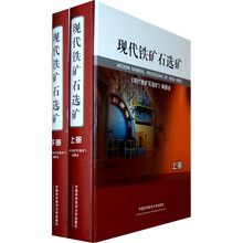 现代铁矿石选矿（套装上下册）