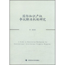 国际知识产权争议解决机制研究（一般著作）