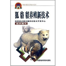 狐貂貂养殖新技术