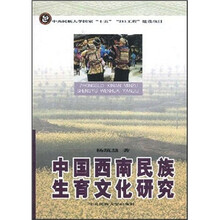 中国西南民族生育文化研究