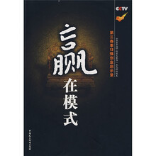 赢在模式