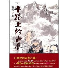 半路上的青春