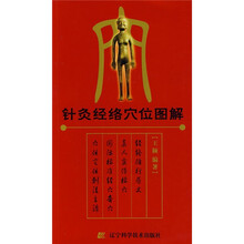 针灸经络穴位图解