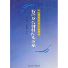 智能复合材料结构体系