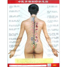 中医背部刮痧示意图
