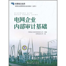 电网企业管理岗位培训教材(试用):电网企业内部审计基础