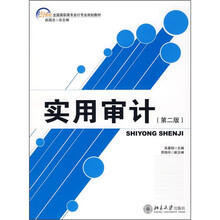21世纪全国高职高专会计专业规划教材:实用审计(第2版)