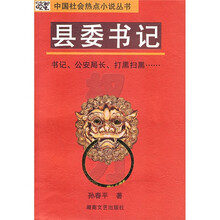 县委书记