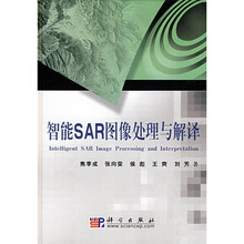 智能SAR图像处理与解译