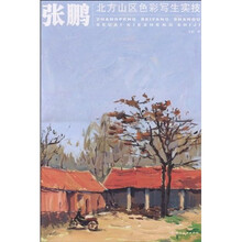 张鹏北方山区色彩写生实技