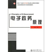 面向21世纪电子政务专业核心课程系列教材：电子政务原理