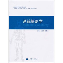 系统解剖学
