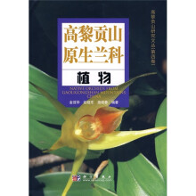 高黎贡山野生兰