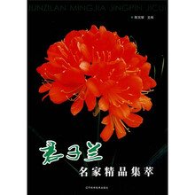 君子兰名家精品集萃