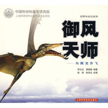 御风天师