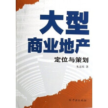 大型商业地产定位与策划