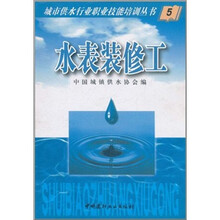 城市供水行业职业技能培训丛书：水表装修工