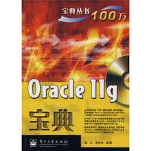 宝典丛书100万：Oracle 11g宝典（附VCD光盘1张）
