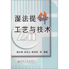 湿法提锌工艺与技术