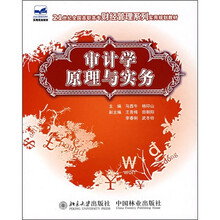 21世纪全国高职高专财经管理系列实用规划教材：审计学原理与实务
