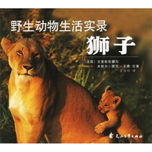 野生动物生活实录：狮子