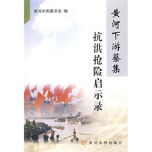 黄河下游蔡集抗洪抢险启示录