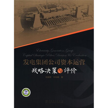 发电集团公司资本运营战略决策与评价