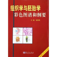 书籍图片