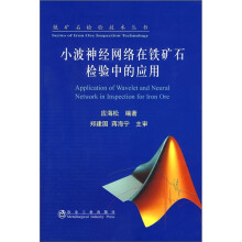 小波神经网络在铁矿石检验中的应用