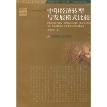 中印经济转型与发展模式比较