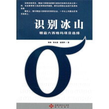 识别冰山:精益六西格玛项目选择