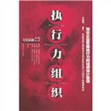 执行力组织：落实企业策略执行力的组织设计要领