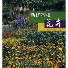 新优宿根花卉