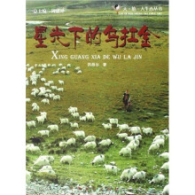 星光下的乌拉金