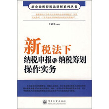 新税法下纳税申报与纳税筹划操作实务