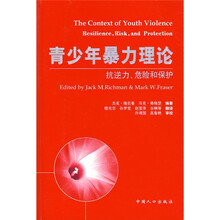青少年暴力理论：抗逆力、危险和保护